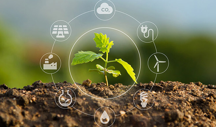 Portail de traçabilité 